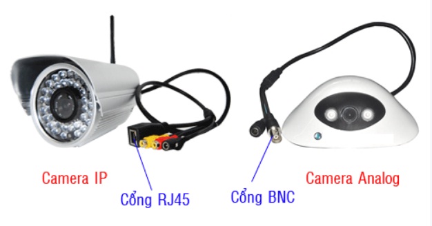 Camera Analog: Sử dụng cổng BNC (để gắn vào đầu ghi hình analog). Camera IP: sử dụng cổng RJ45. (Để gắn vào hub mạng).